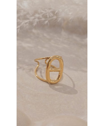 Bague Acier Amovible Dorée...