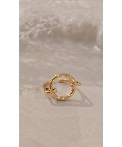 Bague Acier Amovible Dorée...