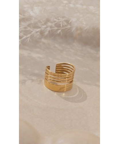 Bague Acier Amovible Dorée...