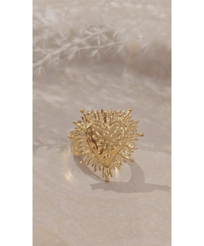 Bague Acier Amovible Dorée...