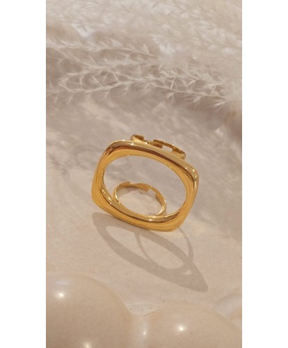 Bague Acier Amovible Dorée...