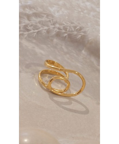 Bague Acier Amovible Dorée...