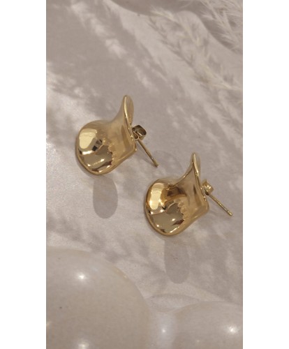 Boucles D’Oreilles Acier...