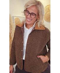 Veste British Velours Côtelé Chocolat - Paloma