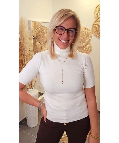 Pull Col Roulé Manches...