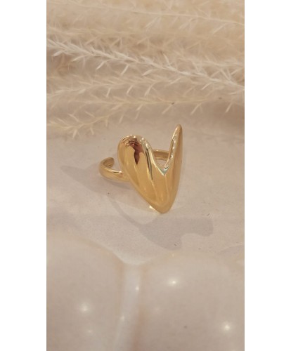 Bague Acier Amovible Dorée...