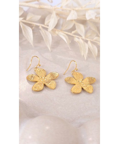 Boucles d'Oreilles Acier...