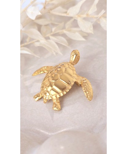 Broche Acier Tortue d’Or