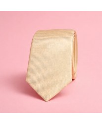 Cravate Élégance Sable