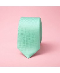 Cravate Vert d’Eau Élégance