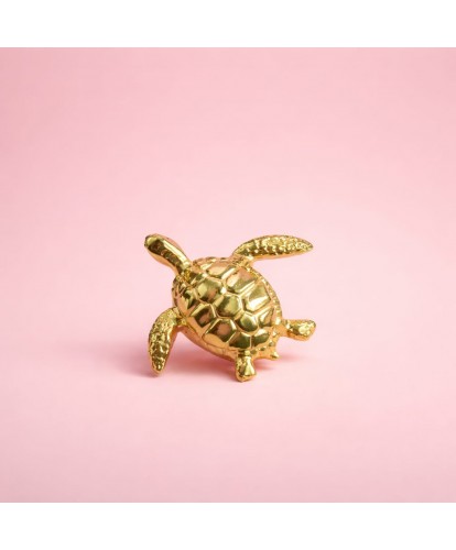 Broche Acier “Tortue Dorée”