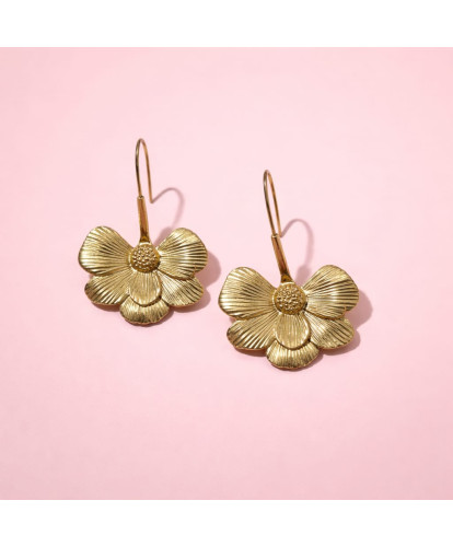 Boucles d’Oreilles Acier...