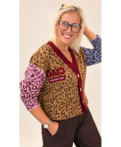Cardigan Léopard Multicolore - Eve