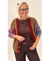 Cardigan Léopard Multicolore - Eve